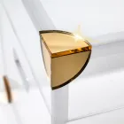 Plexiglass Storage Trunk with Gold Details Made in Italy - Briseide Viadurini