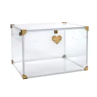 Plexiglass Storage Trunk with Gold Details Made in Italy - Briseide Viadurini