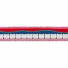 One and a Half Mattress in Luxury Memory H 25 cm Made in Italy - Platinum Viadurini