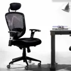 Semidirectional and Operational Modern Swivel Armchair in Black Reta - Simona Viadurini