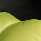 design ottoman in faux leather nautical interior and exterior Potus Viadurini