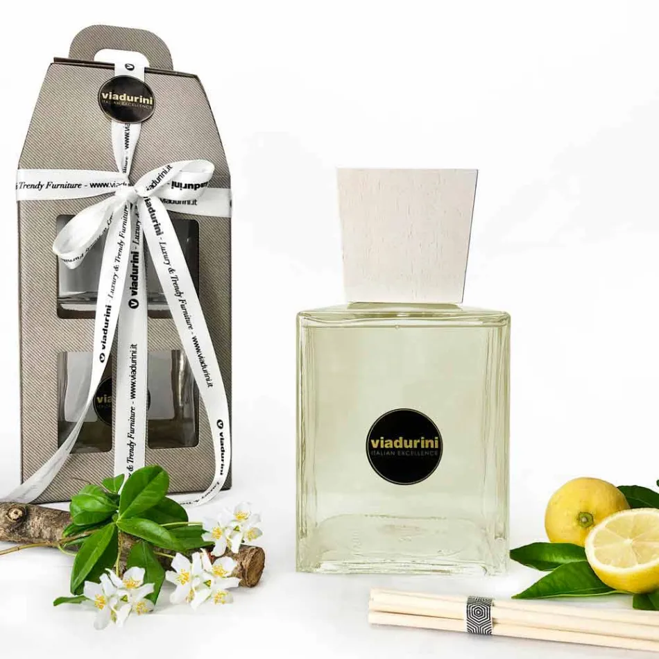 Leather Fragrance Ambient Air Freshener 2,5 Lt with Sticks - Lavecchiavenezia Viadurini