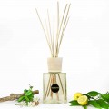 Home Fragrance Leather 2,5 Lt with Sticks - Lavecchiavenezia