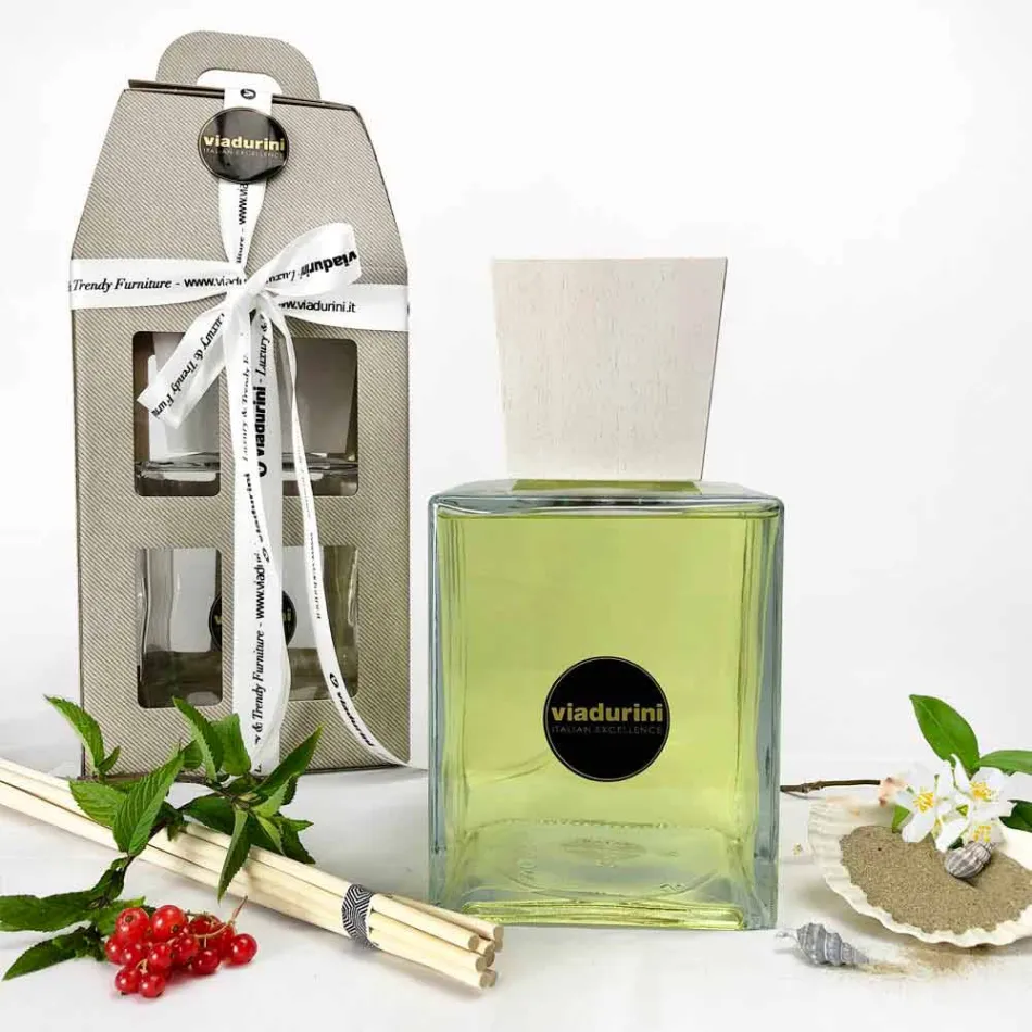 Vanilla and Mou Ambient Fragrance 2.5 Lt with Sticks - Sabbiedelsalento Viadurini