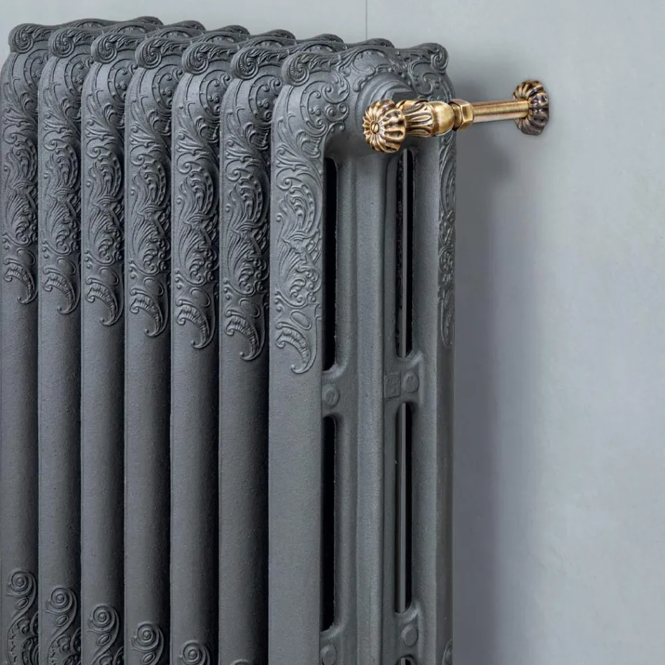 Decorated Cast Iron Hydraulic Radiator with 3 Columns - Vanillina Viadurini