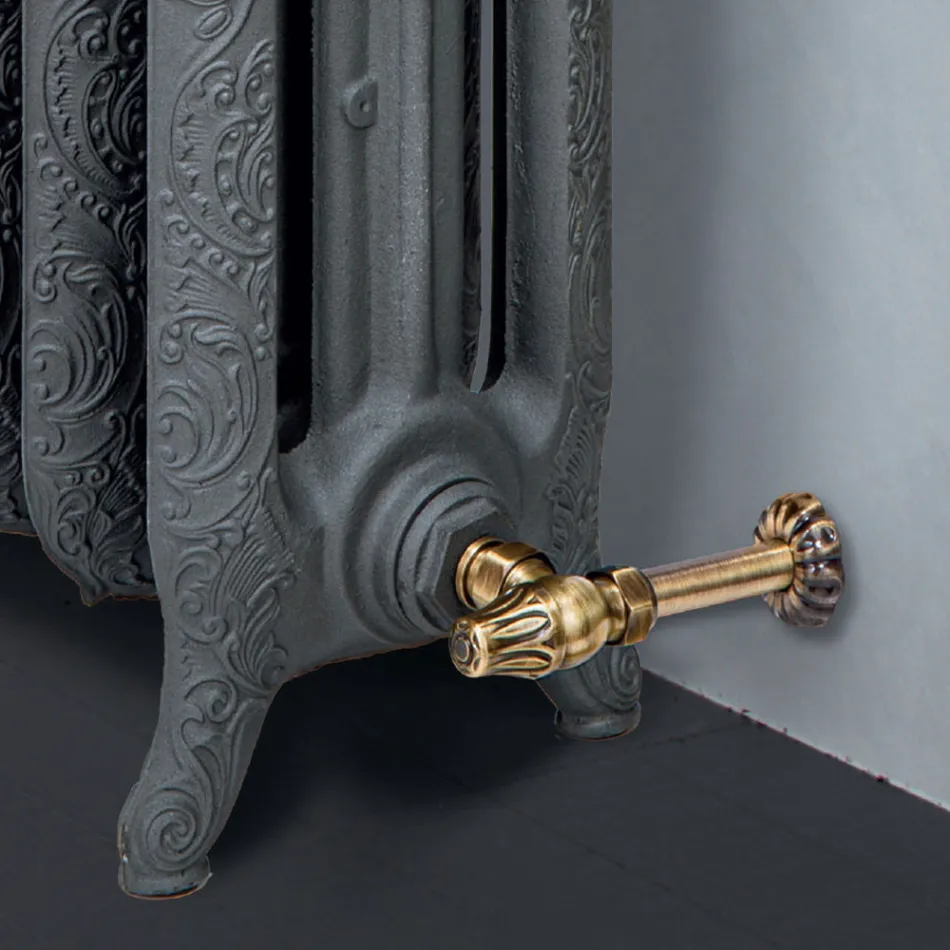 Decorated Cast Iron Hydraulic Radiator with 3 Columns - Vanillina Viadurini