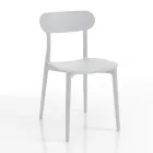 Kitchen Chair in White or Matt Gray Polypropylene 4 Pieces - Milan Viadurini