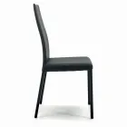 Indoor Chair with Structure and Seat in Coated Steel Made in Italy - Padua Viadurini