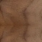 Upholstered Chair with Oak Wood Base Made in Italy - Sebastian Viadurini