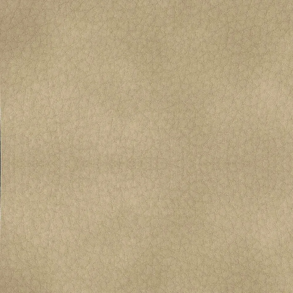 Dining Room Chair Covered in Ecoleather Made in Italy - Giulia Viadurini