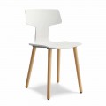 Dining Room Chair in Wood and Polypropylene Made in Italy, 2 Pieces - Clover