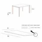 Kitchen Table in Matt Glass with Metal Structure Made in Italy - Brooch Viadurini