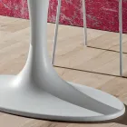 Dining Table with Oval Plywood Top Made in Italy - Brontolo Viadurini