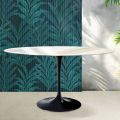 Saarinen Oval Tulip Table H 74 cm in Florim Calacatta Gold Gloss Ceramic - Scarlet