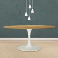 Tulip Table Eero Saarinen H 74 Oval in Natural Oak Made in Italy - Scarlet