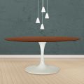 Eero Saarinen Tulip Table H 74 Oval in Dark Walnut Stained Oak Made in Italy - Scarlet