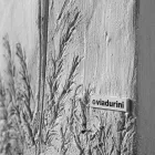 Electric Radiator in Italian Marble Powder Yield 350 Watt - Naturae Viadurini