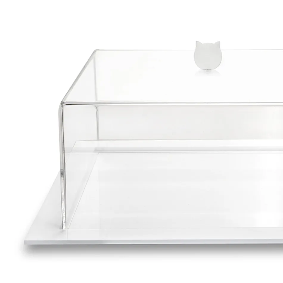 Transparent Plexiglass Square Cake Pan Made in Italy 2 Sizes - Crotone Viadurini
