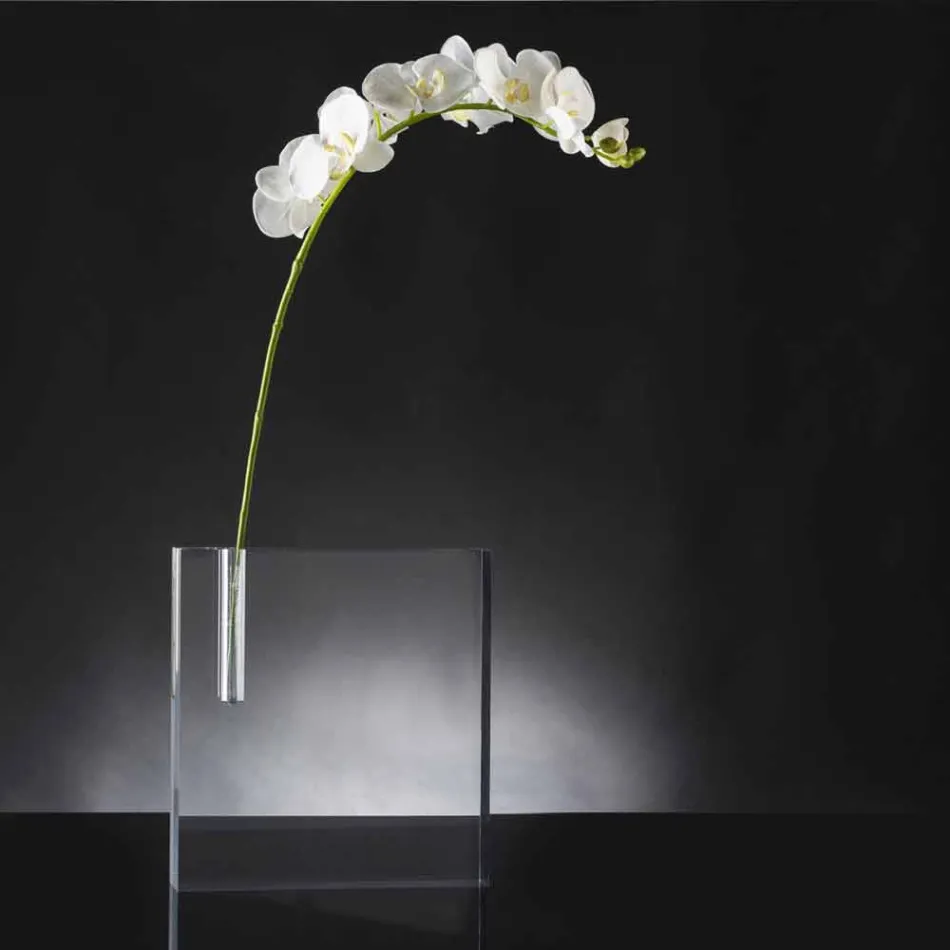 Modern Transparent Plexiglass Flower Vase Made in Italy - Unique Viadurini
