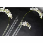 Transparent Plexiglass Indoor Vase Made in Italy - Fortunato Viadurini